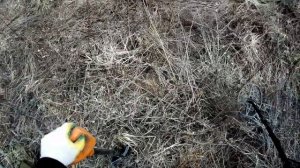 Немного Треш Холда на тх-850,металлопоиск в Урочищах Ч.1