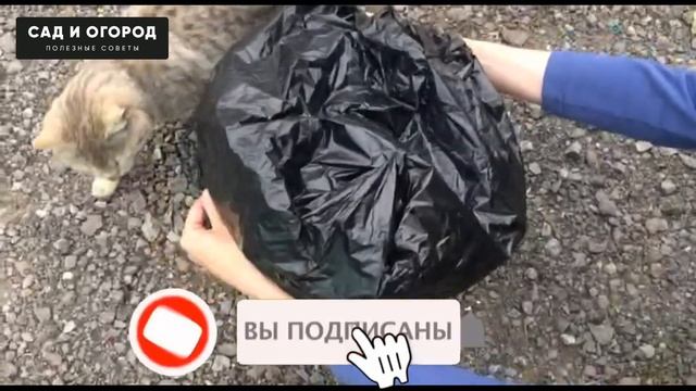 Лучшее удобрение ЭТО Зелёное удобрение Рецепт проверенный временем смотреть онлайн