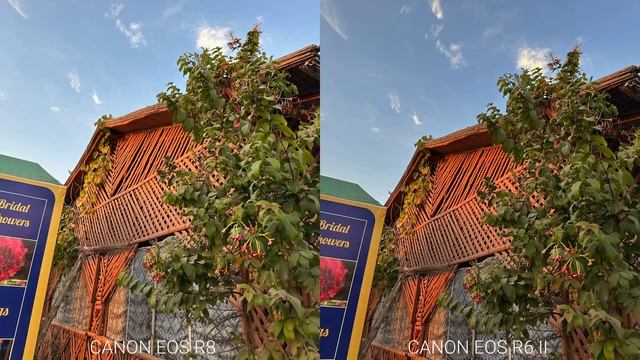 Canon EOS R8 Vs Canon EOS R6 Mark II Camera Test Comparison смотреть онлайн