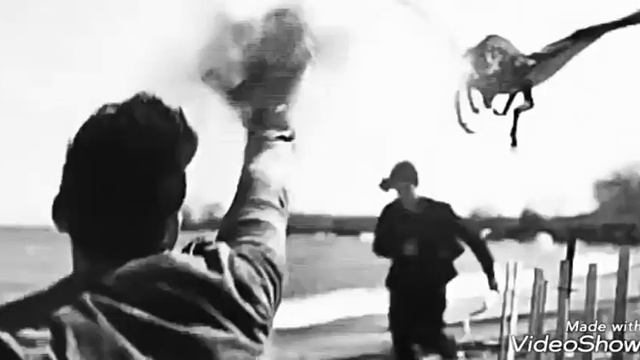 Malec| |Малек| |Magnus&Alec| AU .Лети