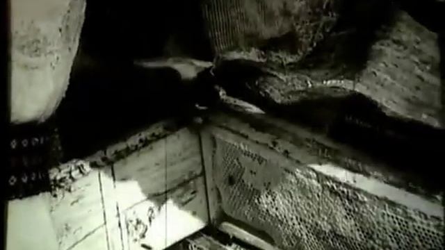 Южные удмурты в начале ХХ века смотреть онлайн