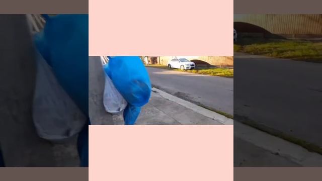 Ростовская область: в Семикаракорске растут вот такие мусорные "деревья". ? смотреть онлайн