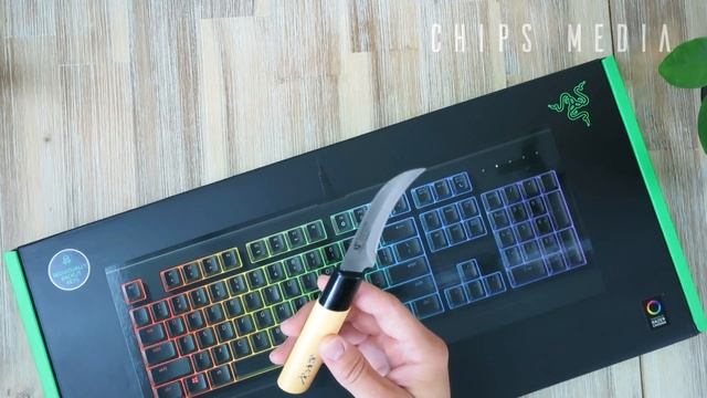 Razer’s Best Budget Gaming Keyboard? - Cynosa Chroma Unboxing! смотреть онлайн