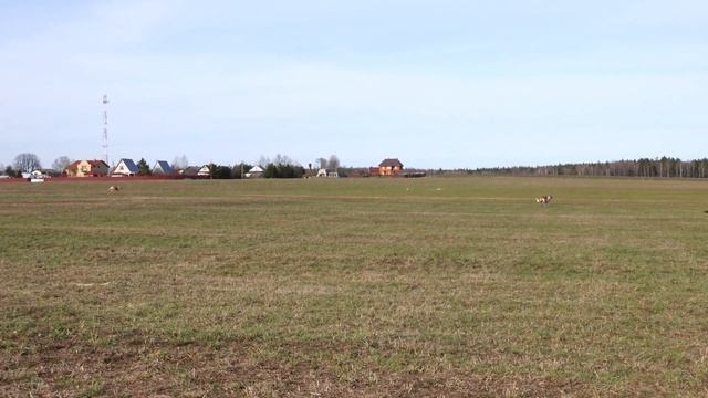 ЛУННАЯ РАДУГА ПАНГЕЯ УЛЬТИМА (к) и ЗОЛОТАЯ ОСЕНЬ (б) смотреть онлайн