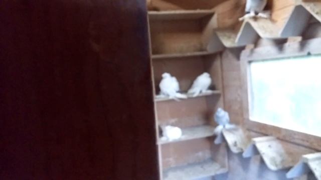 С новым годом друзья! Ответы на вопросы. 02.01.2022