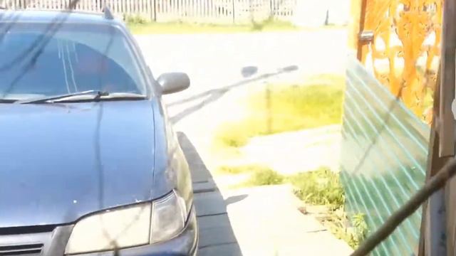 Сети на белую рыбу