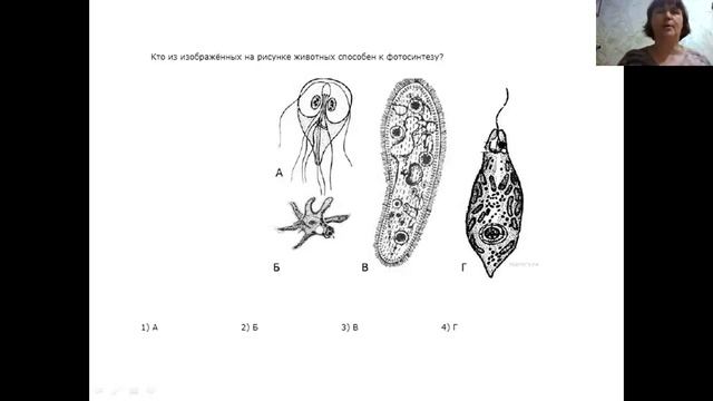 Организации подготовки к ГИА (ОГЭ)- из опыта работы. 02.03.2023- Баштанник Н.Е смотреть онлайн