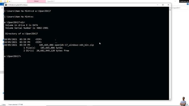 Download and Install OpenJDK 17 смотреть онлайн