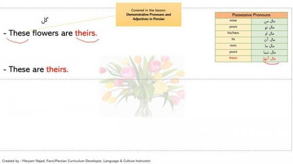 Lesson 10 - Possessive Adjectives and Pronouns in Persian/Farsi