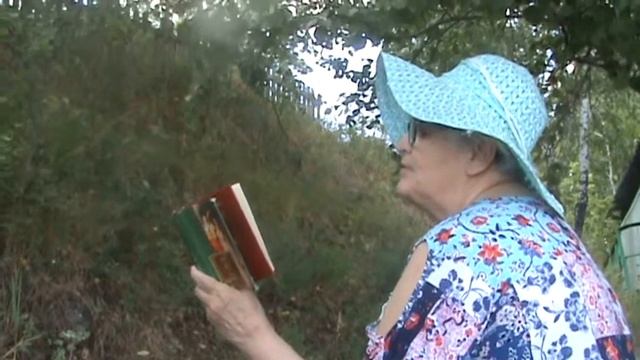 А. Фет "Какая ночь..." смотреть онлайн