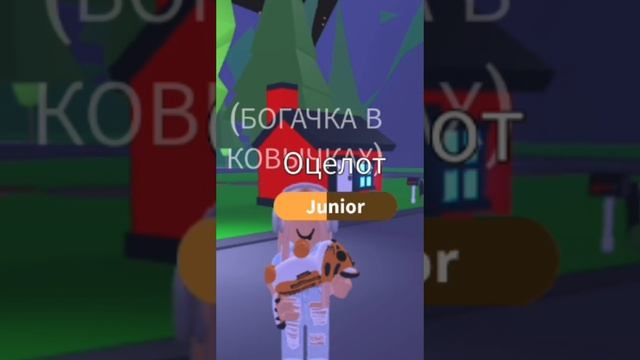 Не когда не делайте кароно выводы