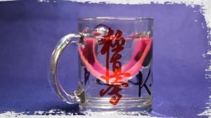 Подробно о капах для единоборств – разновидности и обзор кап