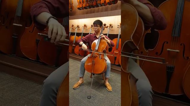 Cello Lessons Singapore, Cello Lesson For Adults, Cello Lesson Online, Stradivari Strings смотреть онлайн