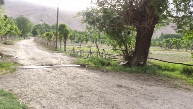 Хушобод (Янгиобод) ЛЕТО 2021, Исфара Таджикистан смотреть онлайн