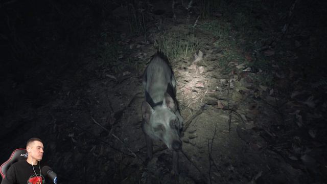 Ведьма из Блэр [Blair Witch] Прохождение на Русском Часть 1 смотреть онлайн