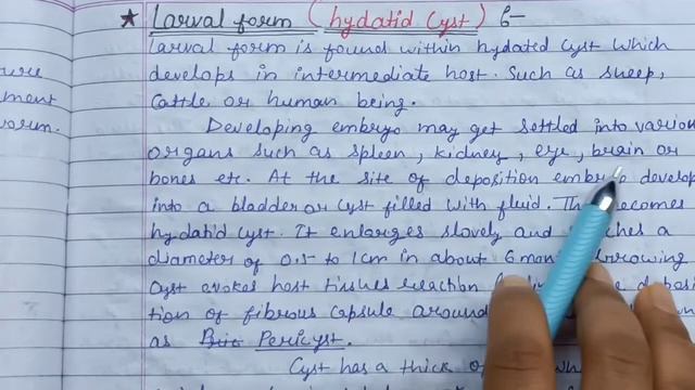 Hydatid Cyst Life Cycle | Echinococcus Granulosus | Hydatid Disease Microbiology | Dog Tapeworm