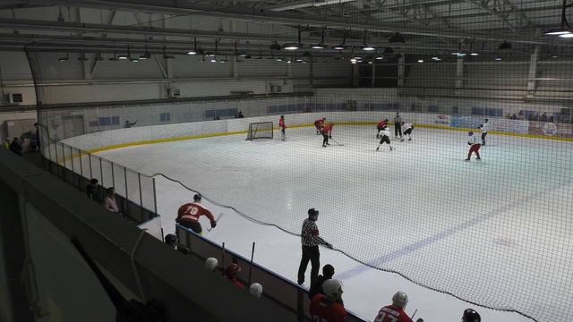 Легион/Левобережье 3 период. 1/4 финала в Омске ОХЛК 2019/2020гг