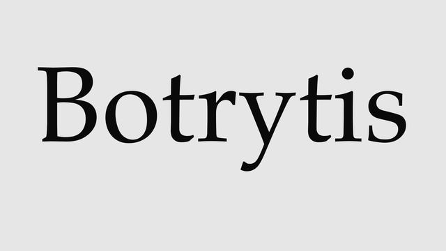 How to Pronounce Botrytis смотреть онлайн