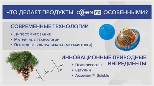 Презентация AGenyz 10 октября 2020 года смотреть онлайн