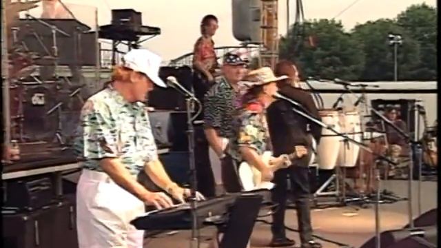 The Beach Boys - Surfin' USA Live
