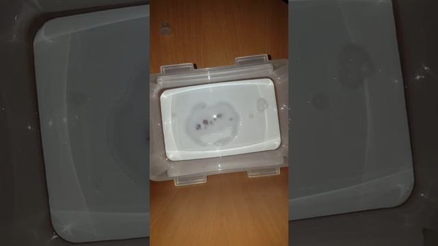 DIY - ВЫРАСТИЛ ЛИЗУНА# смотреть онлайн