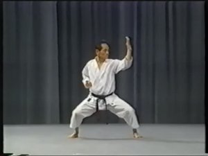 Тетсухико Асаи - кихон и ката.