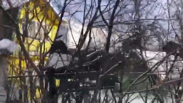 Продаётся дом в направлении Чусовского тракта смотреть онлайн