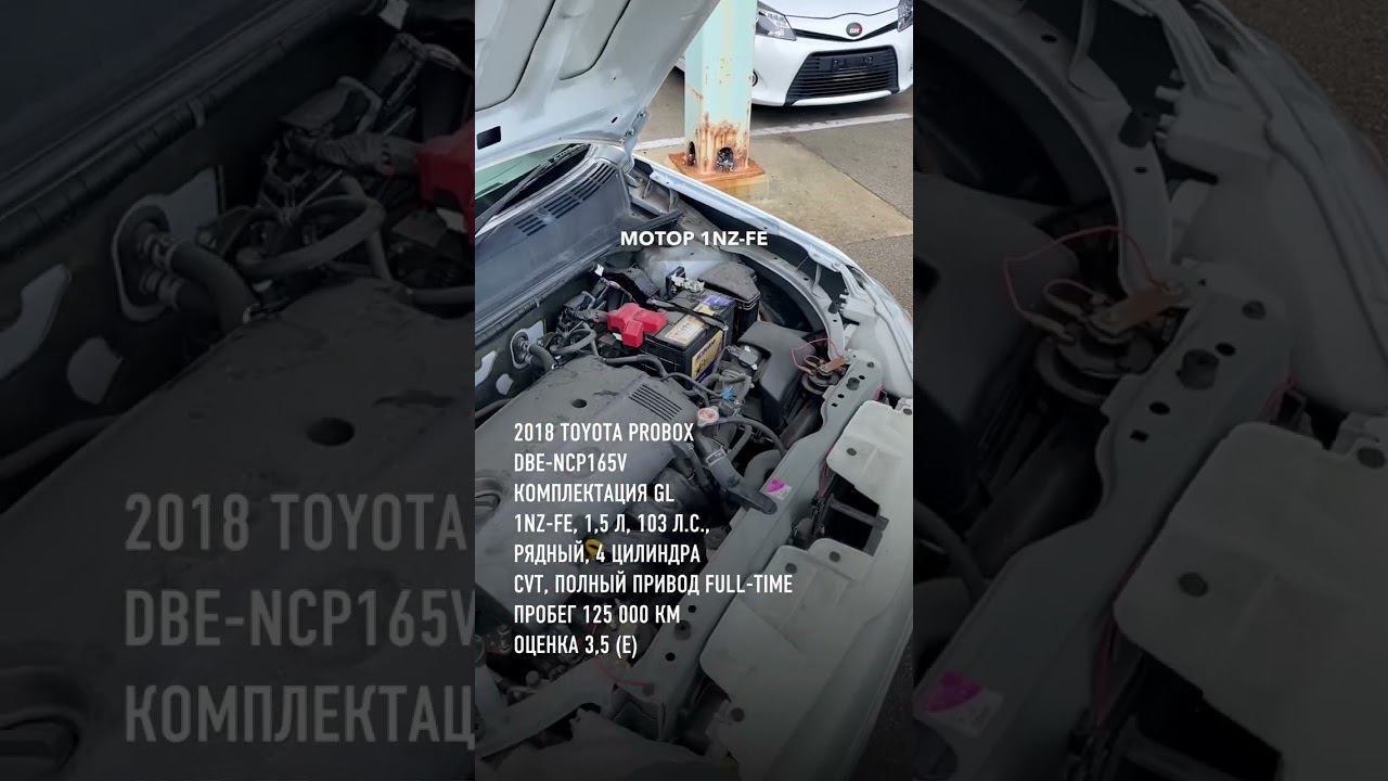 2018 TOYOTA PROBOX смотреть онлайн