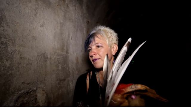 Elu24.ee / „Eesti selgeltnägijate tuleproov“ / fotoViktorBurkivski15SEP2016 смотреть онлайн