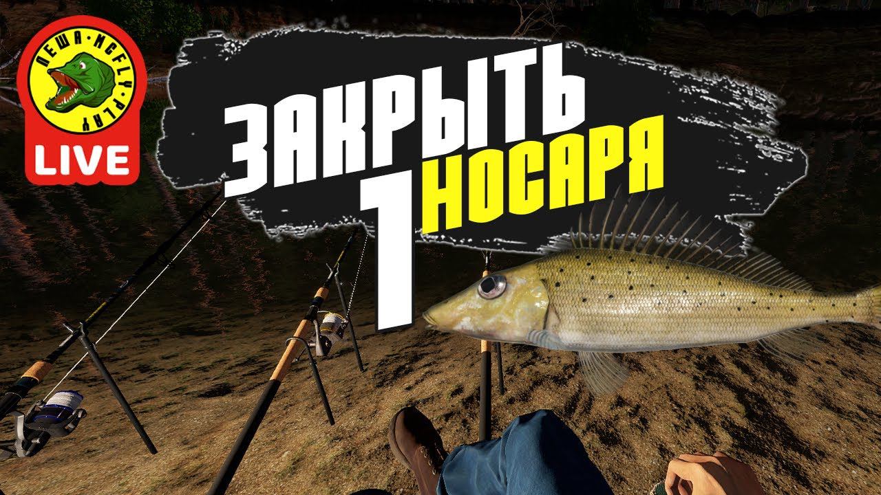 Закрываем носаря #1 - РР4 (Стрим - Русская рыбалка 4) смотреть онлайн