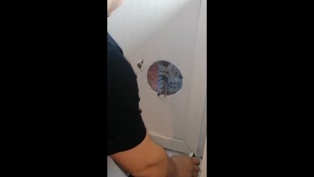 монтаж мобильного кондиционера смотреть онлайн