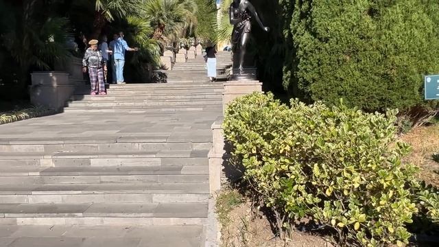 #СОЧИ СЕГОДНЯ ☀️ ПАРК ДЕНДРАРИЙ СОЧИ #дендрарий смотреть онлайн