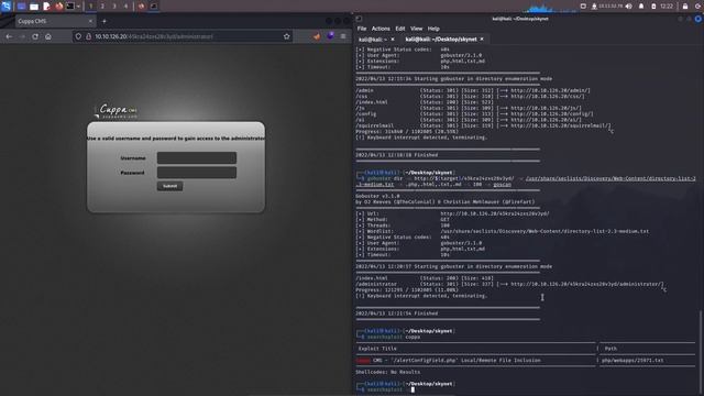 TryHackMe - Skynet Walkthrough смотреть онлайн