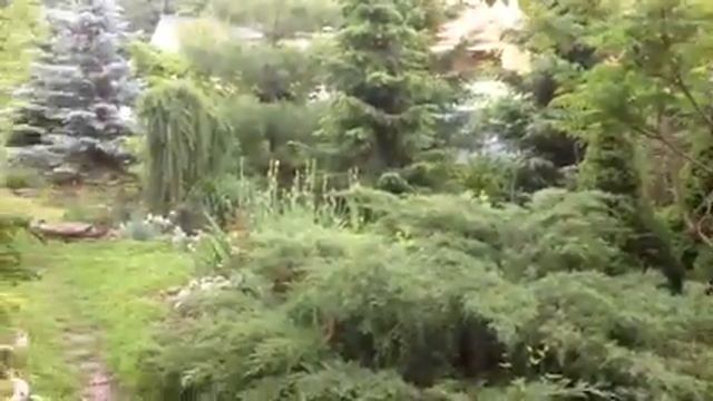 Мой сад май 2014 смотреть онлайн