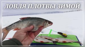 Ловля плотвы зимой. Плотва на донку.Рыбалка 2022.