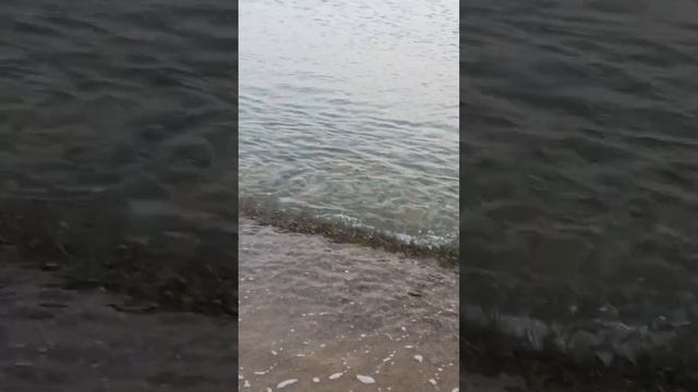 море... море... мы скучаем... скоро увидимся❤️❤️❤️ смотреть онлайн