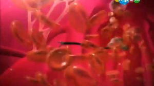 Мультфильм  Путешествия Адибу  Как устроен человек  Почему мне необходимо отдышаться серия 10