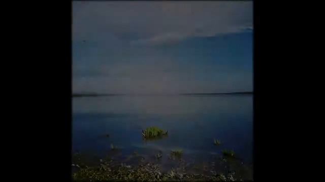 Lacuri din Moldova. Озера Молдовы. Lakes in Moldova смотреть онлайн