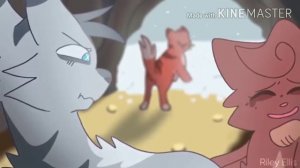 Коты воители:Воробей "Никогда"