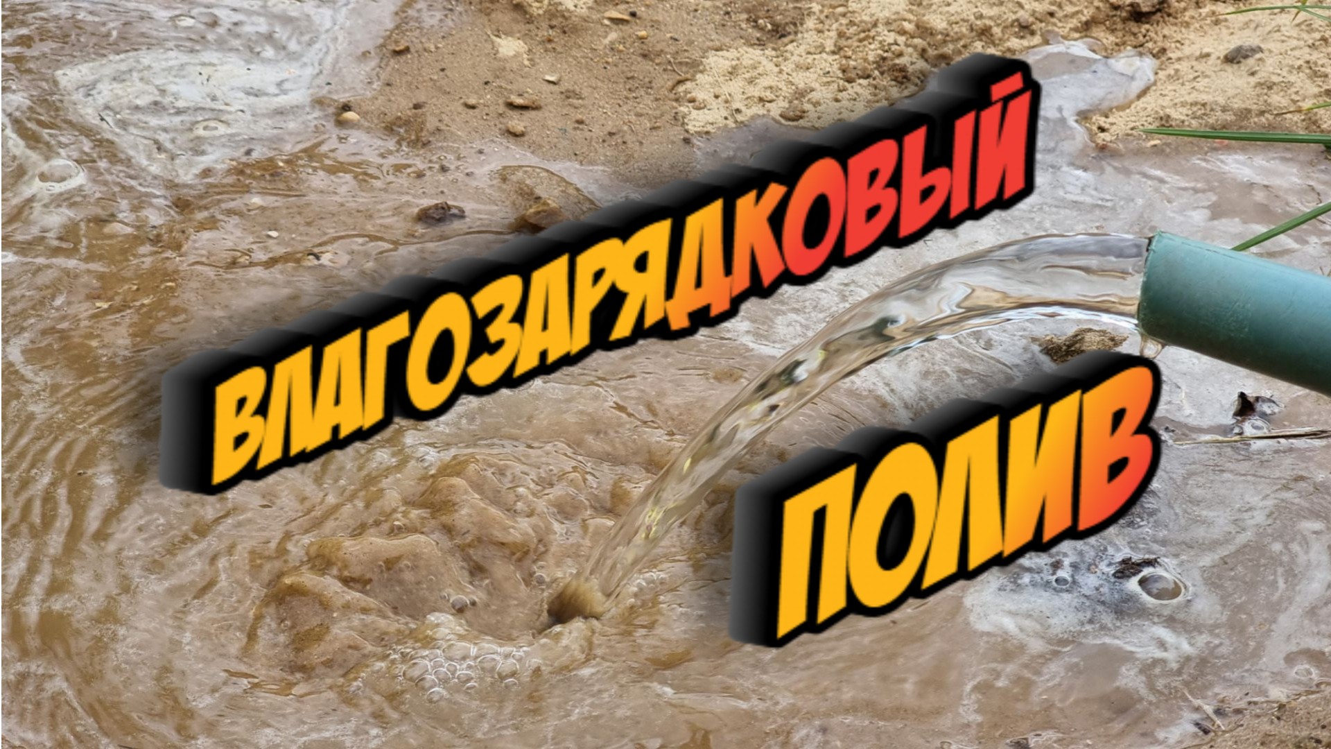 как, когда и зачем нужен влагозарядковый полив? когда, как и в каком количестве поливать деревья смотреть онлайн