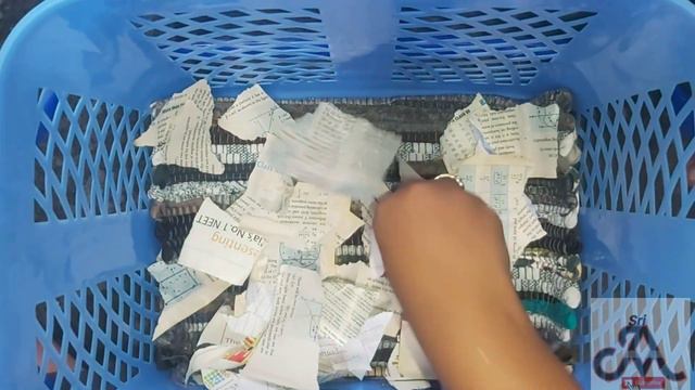 How to set travel basket for puppies | tamil | jayam ideas | jayam pets | minpin puppy sales смотреть онлайн