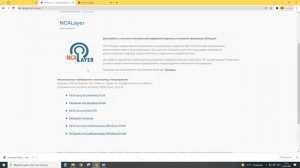 NCAlayer не запускается, ошибка сети, есть решение