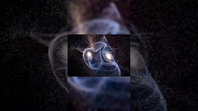 7 Billion Years from Now: Will Our Galaxy Survive the Andromeda Collision? смотреть онлайн