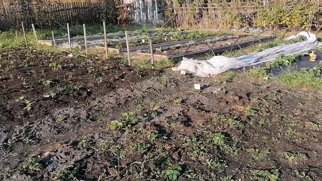 Чем обработать и обогатить землю осенью. смотреть онлайн