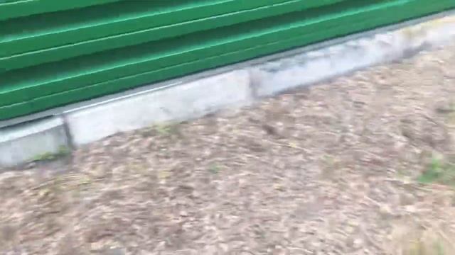 Пересадка деревьев и кустарников летом... смотреть онлайн