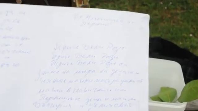 ZaPernik.com: Славейка Златанова за символа на мира - 1 част смотреть онлайн