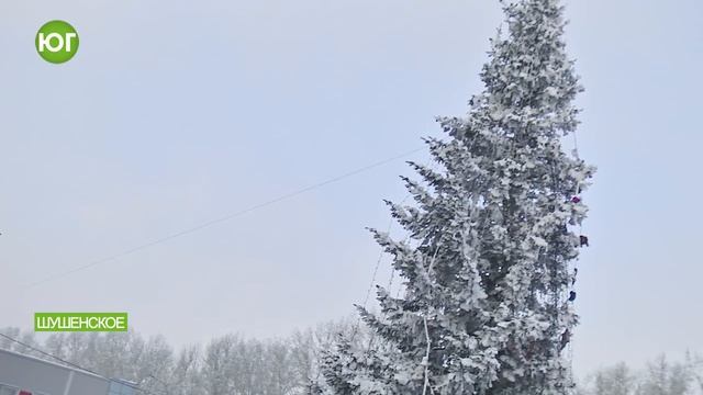 Новогодний хоровод у центральной елки смотреть онлайн