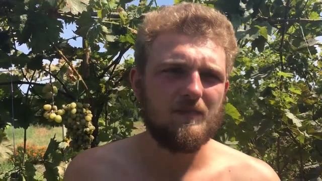 Купить видео отзыв для сайта. Видео отзывы лучшая цена смотреть онлайн