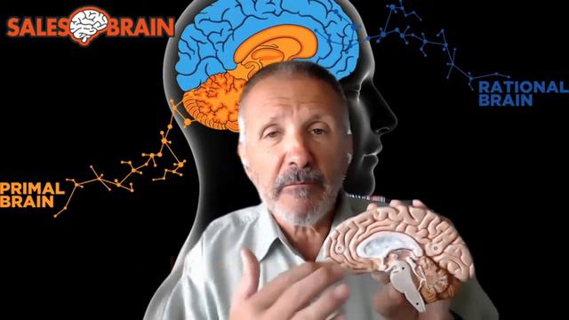 Dr. Christophe Morin Explains the Neuroscience of Persuasion by Engaging the Primal Brain смотреть онлайн