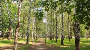 ВАЛЕНТИНА ТОЛКУНОВА - ПЕСНЯ О РОДНОМ КРАЕ